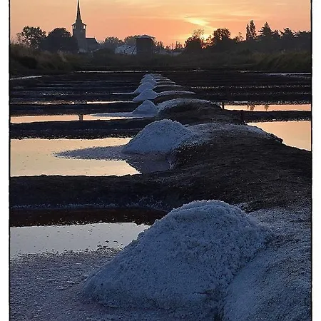 Appartement Henry - Foch *