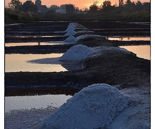 公寓 Henry - Foch *